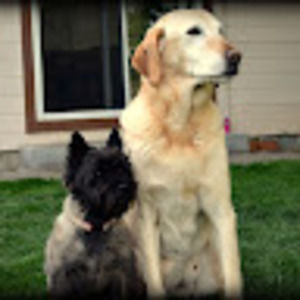 Meet your Posher, Dani